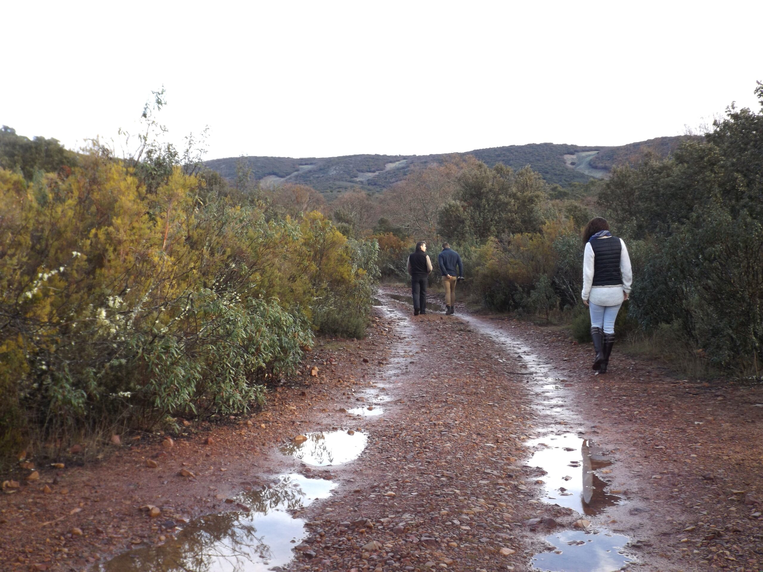 Senderistas recorriendo un camino de monte mediterráneo en el entorno de Cabañeros y los Montes de Toledo, Ciudad Real.